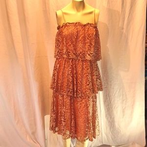 Vintage Young Edwardian by Arpeja. Size 9 Dusty Rose. Weddings, parties. $60